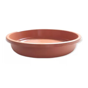 Plato clásico