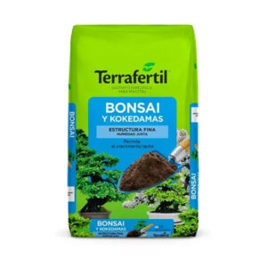 Bonsái