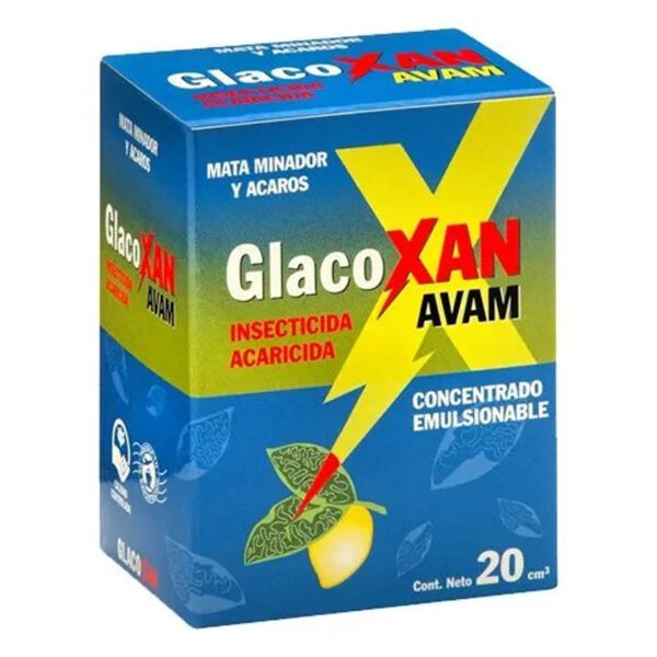 GlacoXAN AVAM