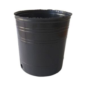 Maceta soplada