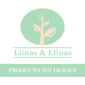 Noche Iluminarte X 12 Color