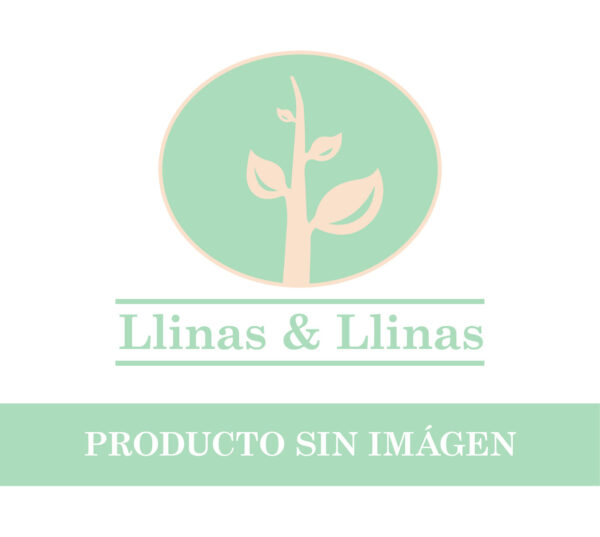 Noche Iluminarte X 12 Color